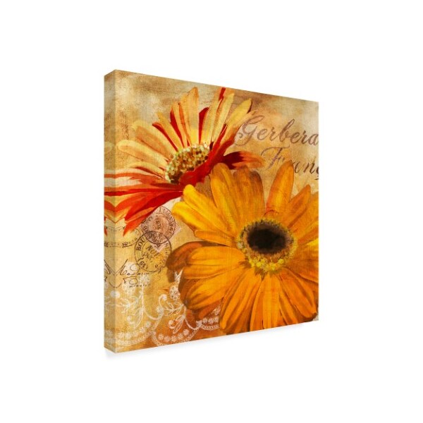 Art Licensing Studio 'Golden Gerbera Ii' Canvas Art,24x24